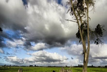 爱游戏-关于陇右雄鲨队火力全开江南山猫队，棒球杯赛上演耐力碾压对手！复盘值得玩味的信息